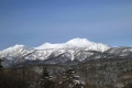 望岳台から青空に映える雪化粧のトムラウシ山（2月）.jpg