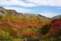 紅葉の式部沼（9月）.jpg