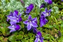018