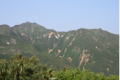 カミホロ分岐付近から見た富良野岳（8月）.png
