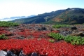 黒岳山頂から（9月）.jpg