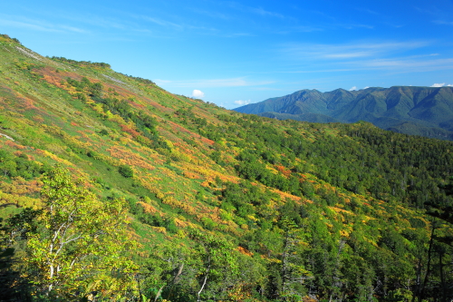 銀泉台の紅葉