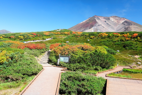 旭岳の紅葉
