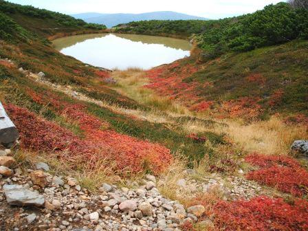 満月沼（９月）.jpg