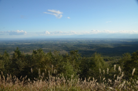 slide0006_image004