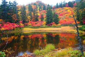 滝見の紅葉
