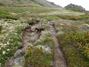 （原澤担当分）トイレのために植生が踏まれ裸地化した箇所