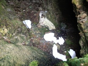 （原澤担当分）野営指定地などに散乱するし尿やティッシュ