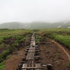 IMG_2514