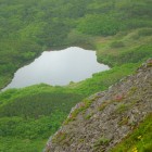 岩肌のエゾツツジ