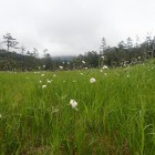 P7180030