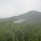 P7240127