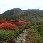 白雲岳紅葉