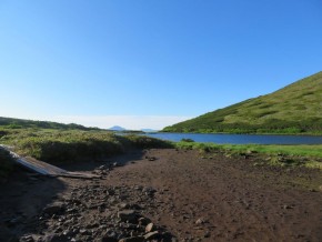 IMG_2491