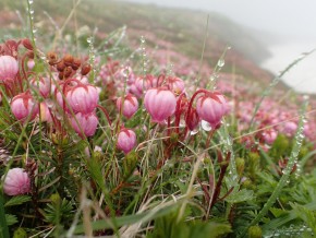P7240039