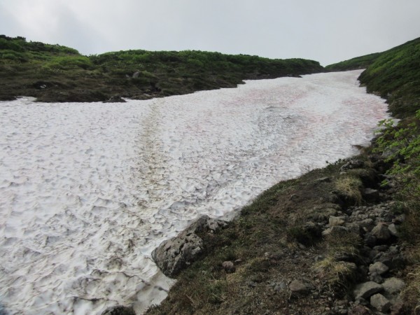 03_水無沢川源頭（小屋から登山口方向 400ｍ）