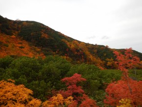 DSCN1350