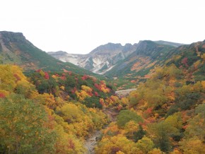 DSCN1356