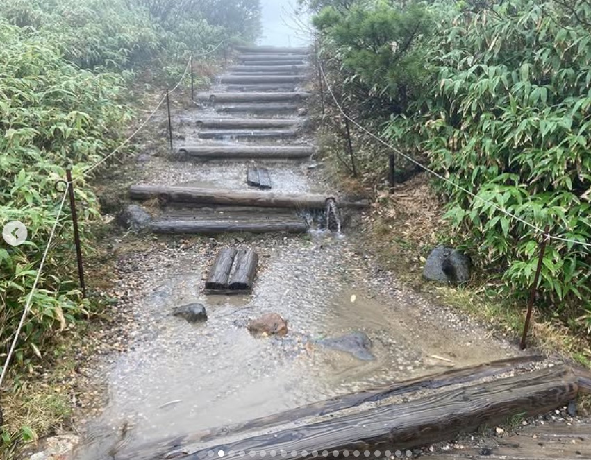 姿見の池 Sugatami-pond【登山道・高山植物情報 Trail・Alpine plants
