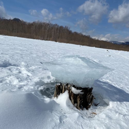 風景_糠平きのこ氷(高橋)