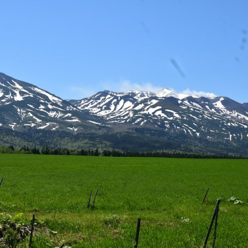 美瑛町白金模範牧場から見た十勝岳連峰